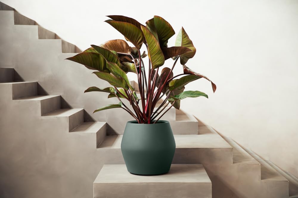 Elho - Verde/Verde Smeraldo - immagine 6