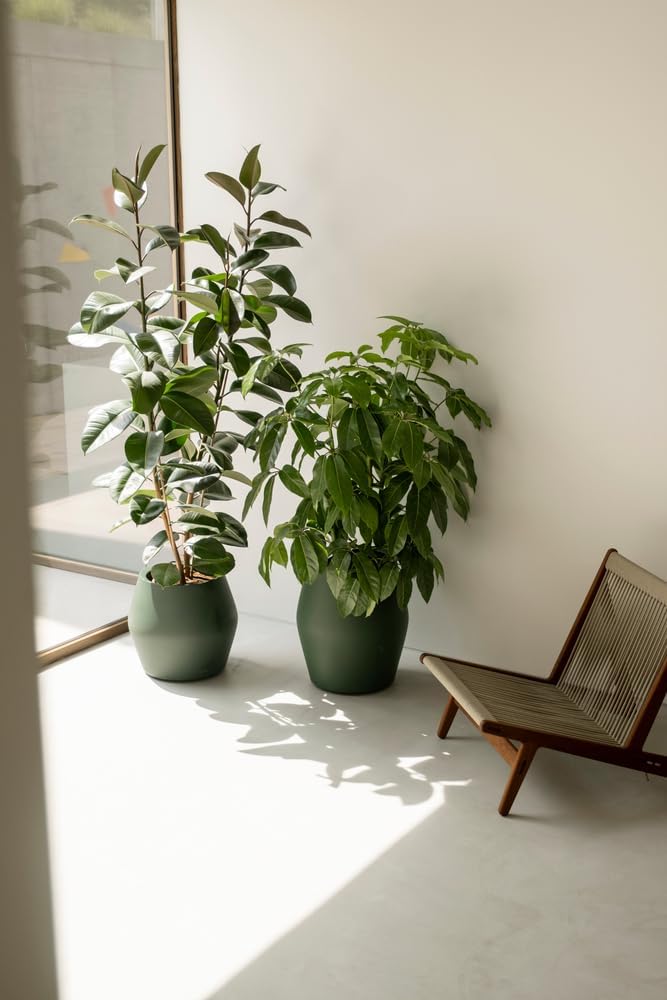 Elho - Verde/Verde Smeraldo - immagine 7