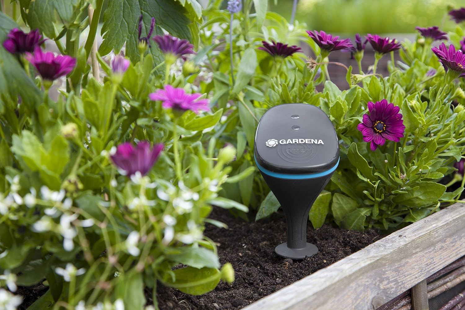 Gardena Smart Sensor - Sonda Umidità, Luce e Temperatura - immagine 4