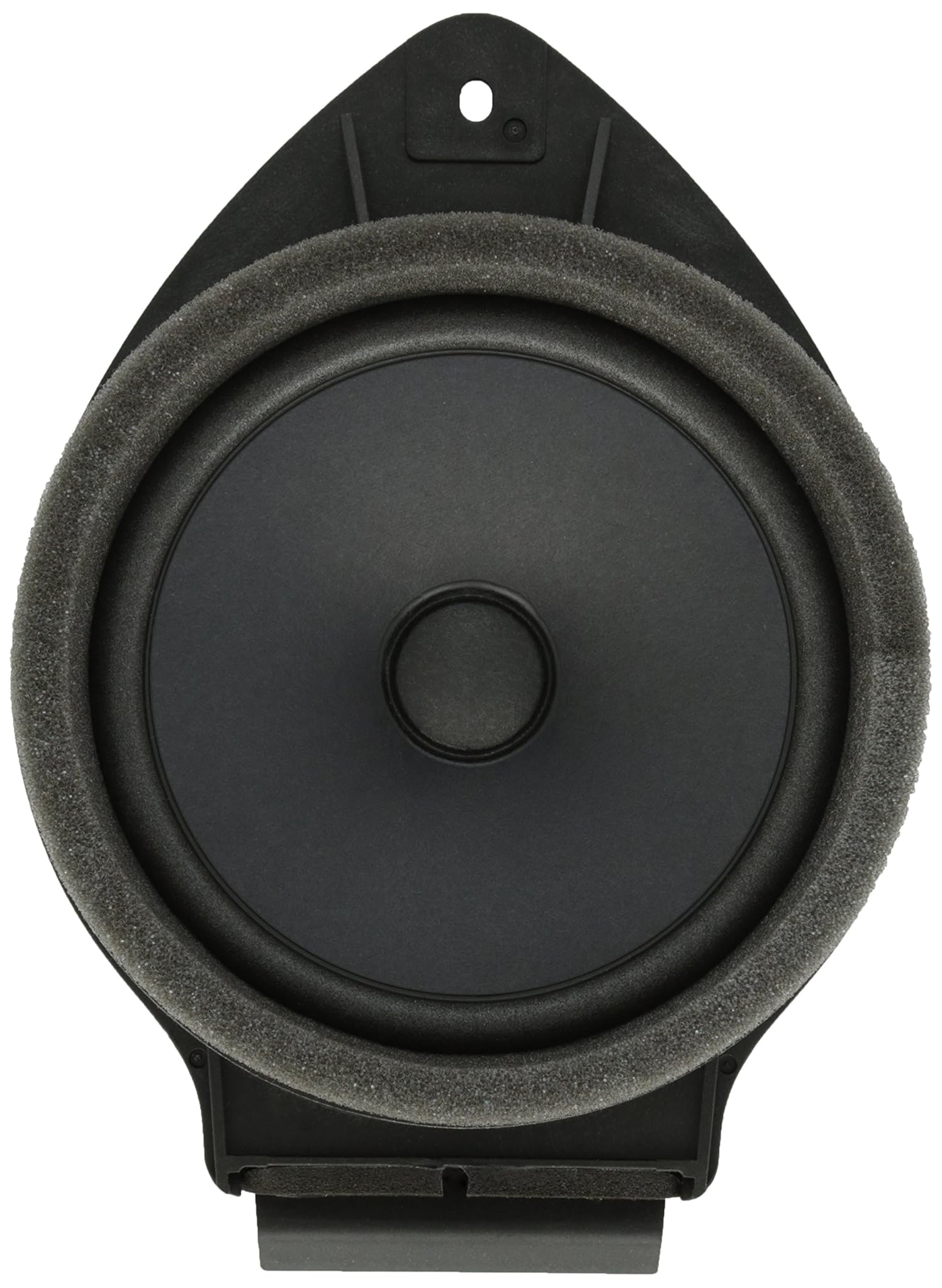 Acdelco 25926188 GM Original Equipment anteriore porta radio speaker