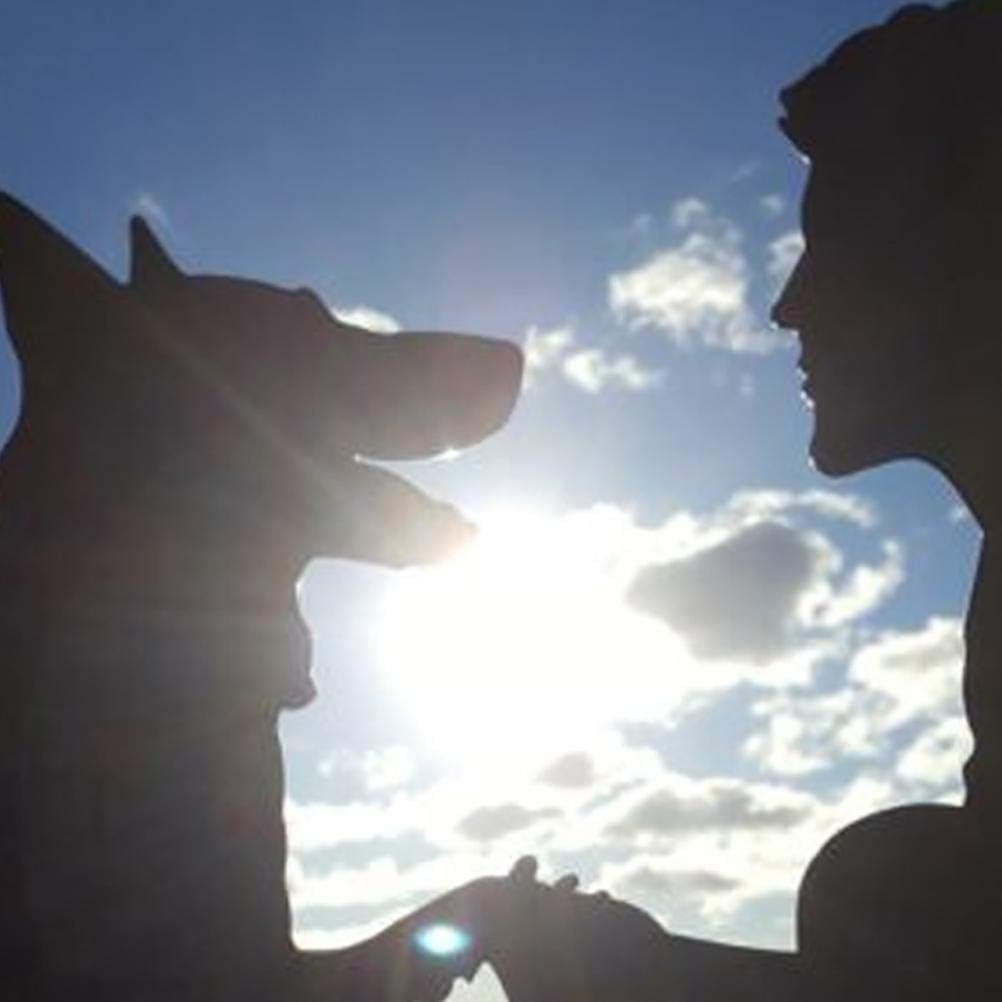 Banderuola Decorativa in Acciaio Inossidabile, Gallo - immagine 8