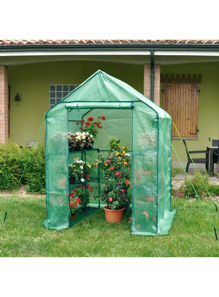 Verdemax Anemone Serra a Forma di casa, con Livelli