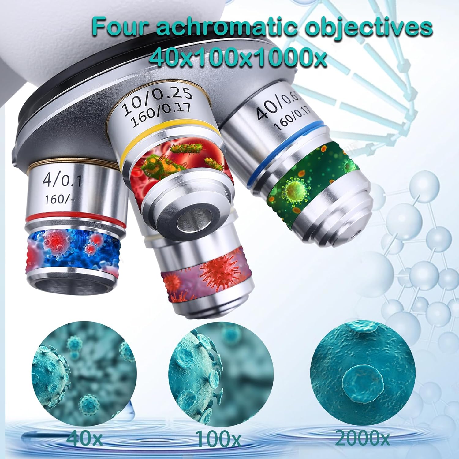 Herwicm Microscopio Binoculare Composto Professionale - immagine 3