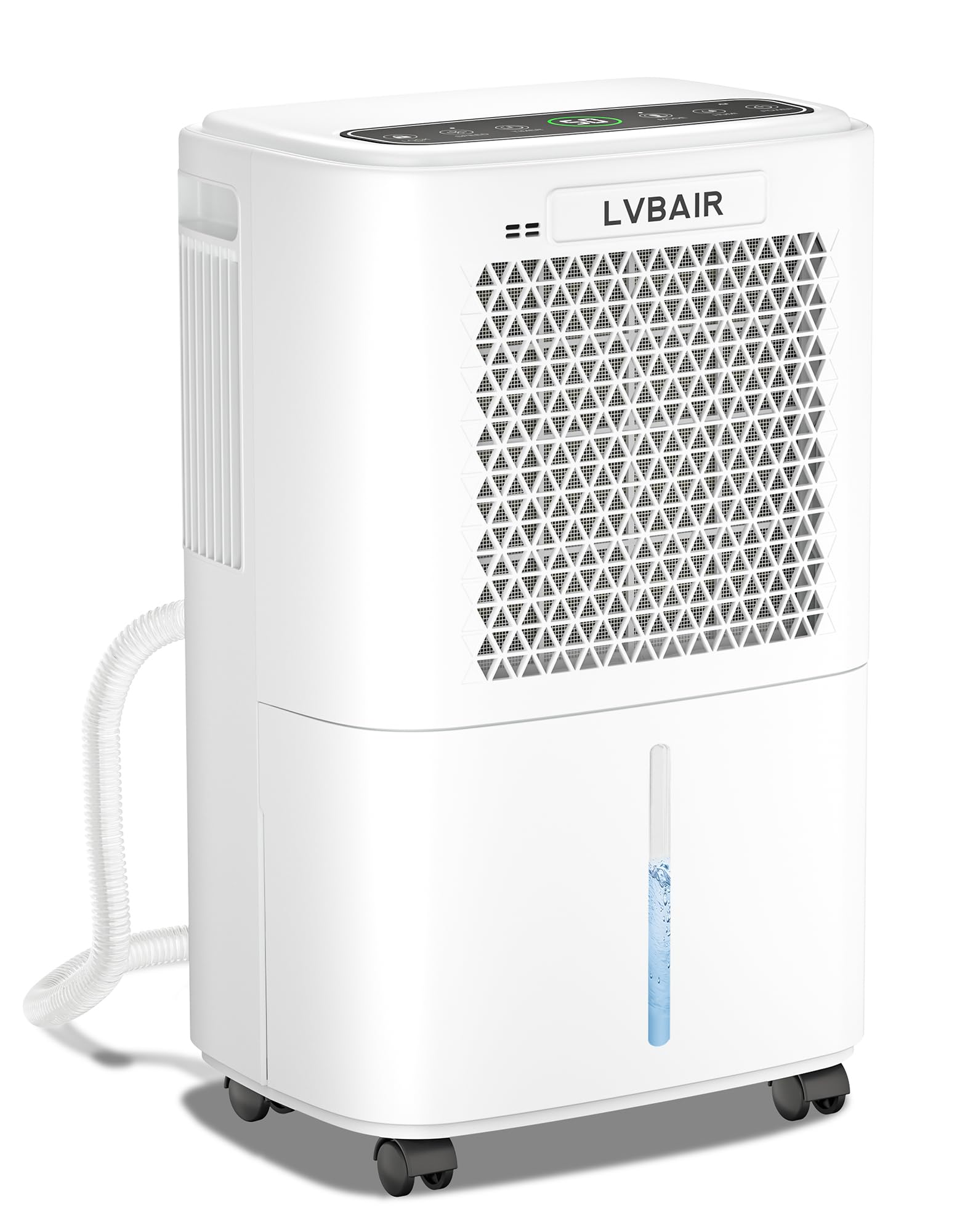 Deumidificatore Elettrico 12L/giorno