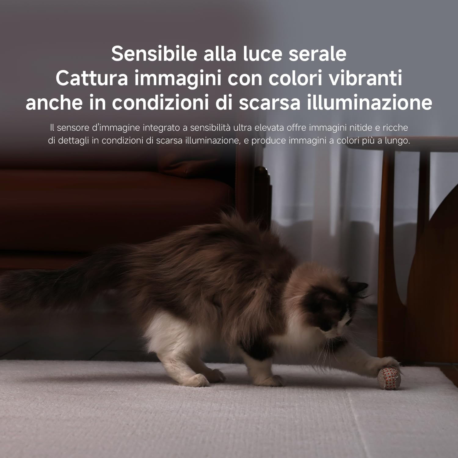 Xiaomi Smart Camera C500 - Sorveglianza Intelligente - immagine 6