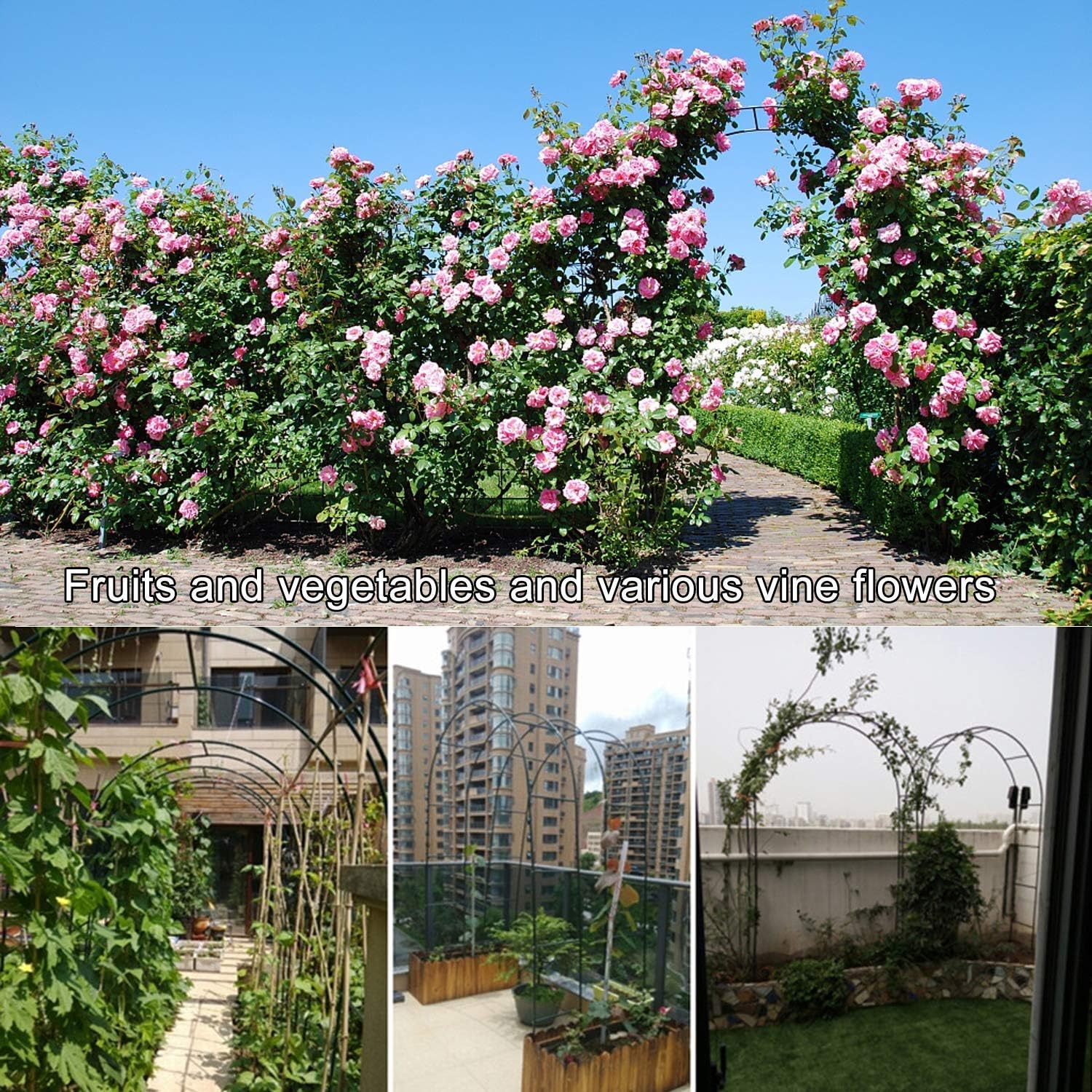 Forever Speed Arco per Rose Rampicanti in Metallo Nero - immagine 5