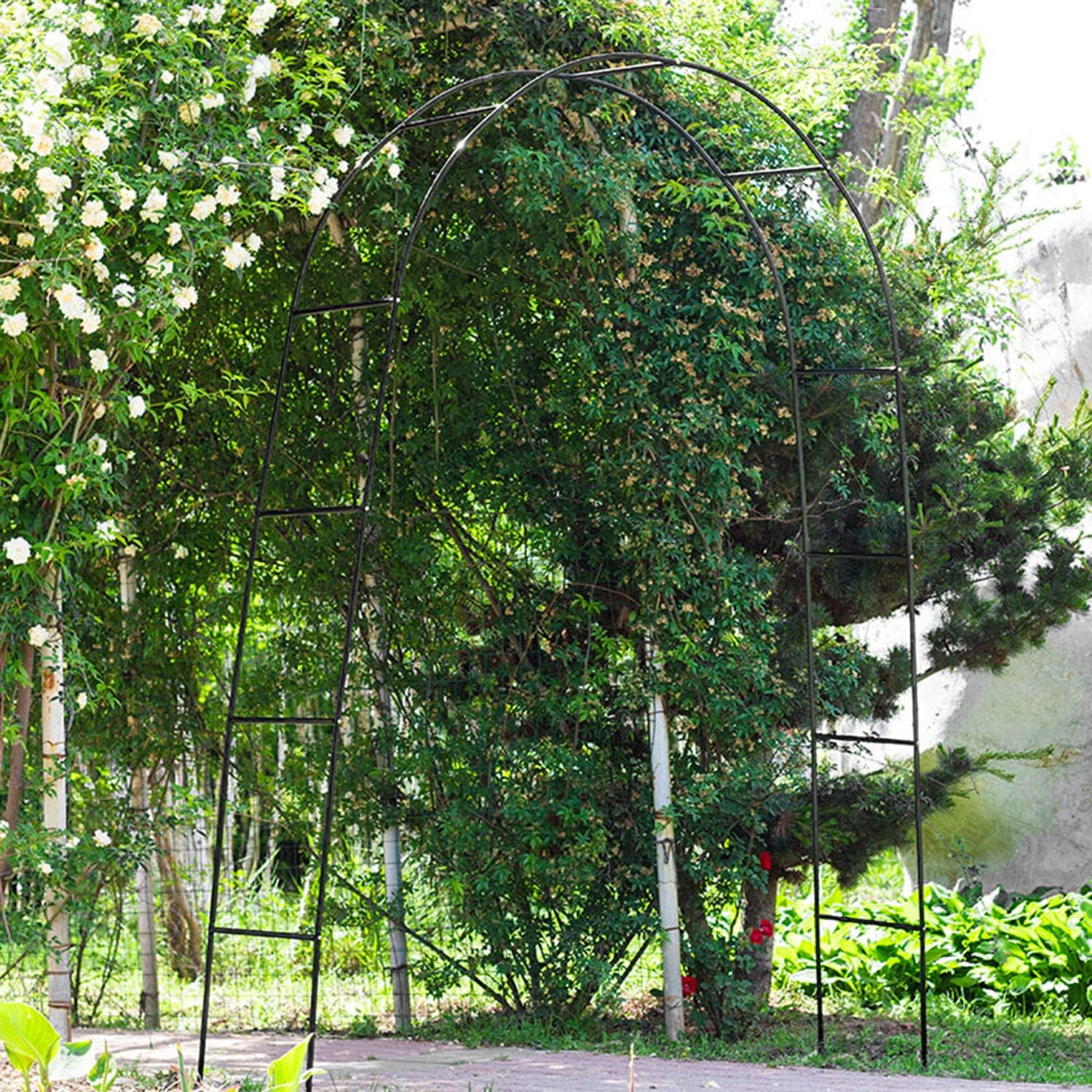 Forever Speed Arco per Rose Rampicanti in Metallo Nero - immagine 6