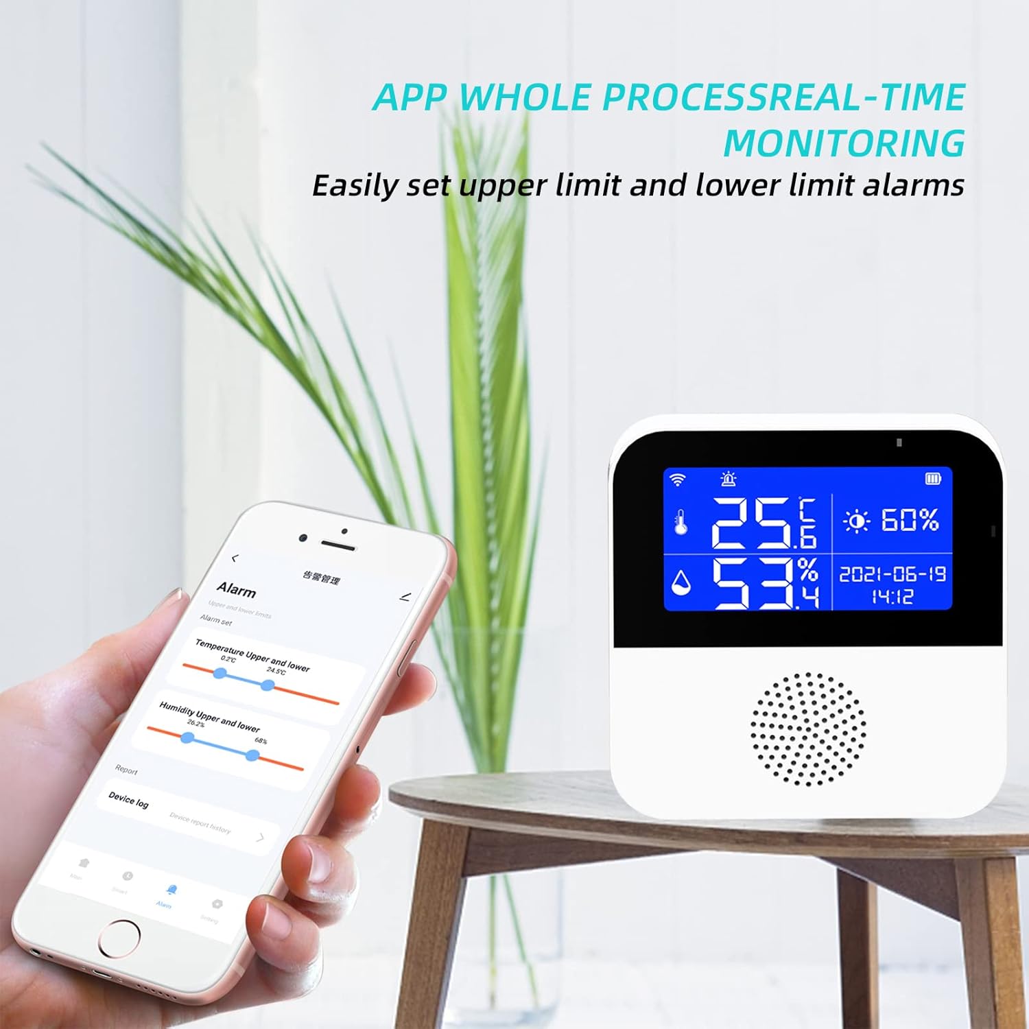 Ceiever Termometro Igrometro WiFi Wireless con App - immagine 6
