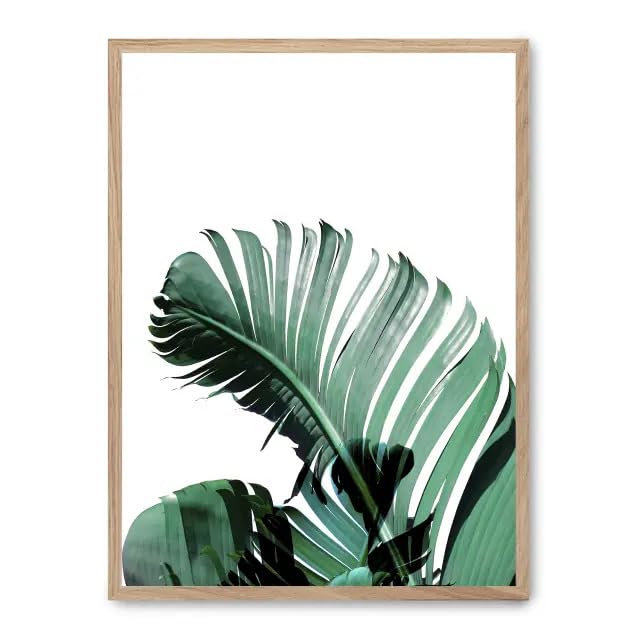 AlexandreHouse Quadro banana leaves ii_FASE5