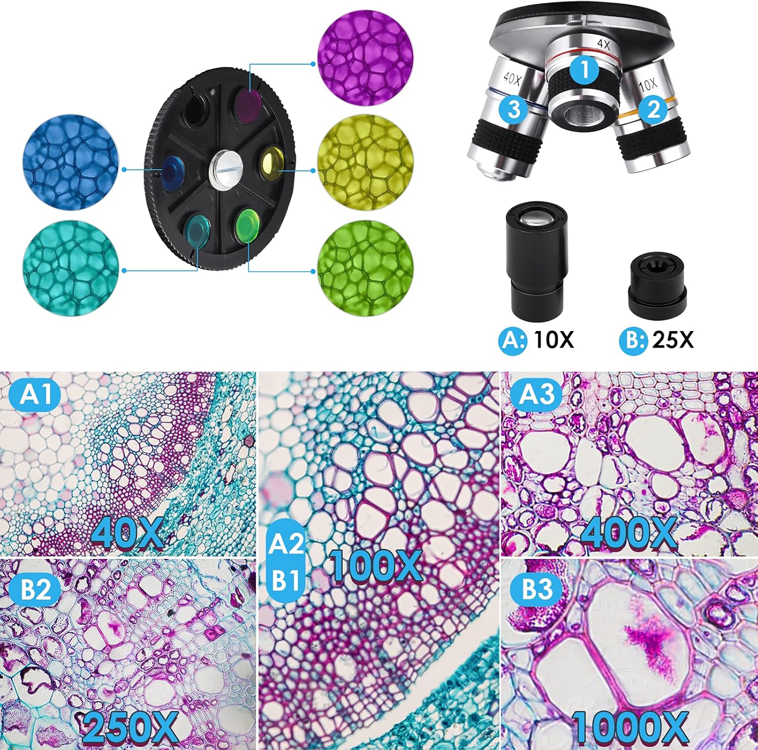 Microscopio - immagine 3
