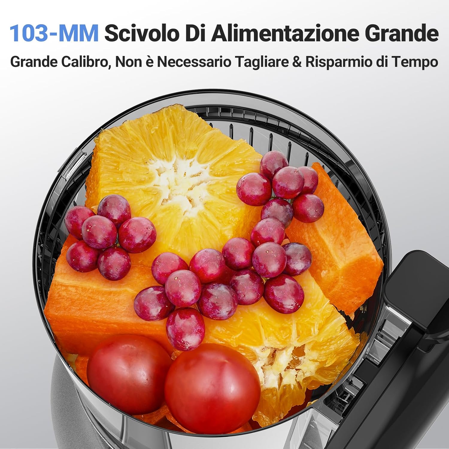 AOBOSI Estrattore di Succo 250W con 2 Filtri, Grigio - immagine 2