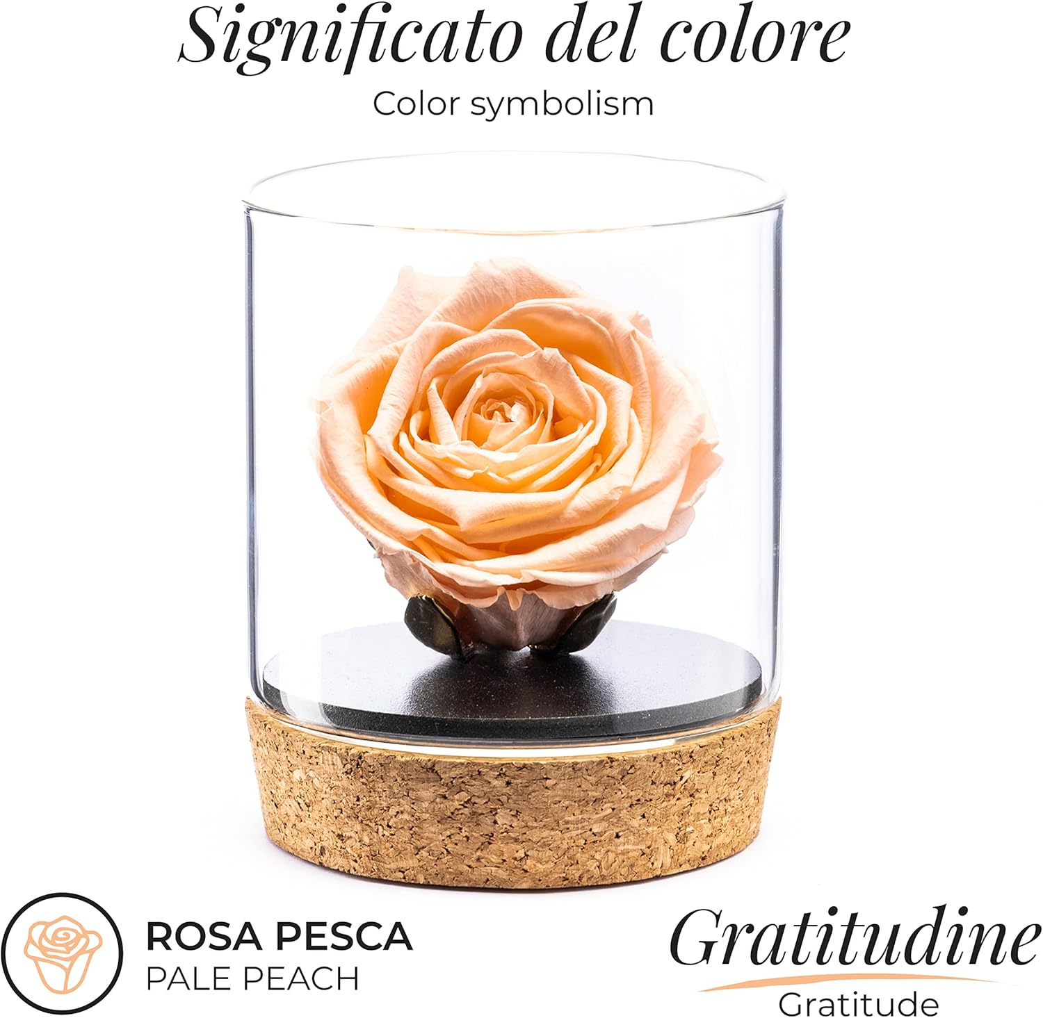 Amoroses Bijou - Rosa Stabilizzata Eterna - immagine 2