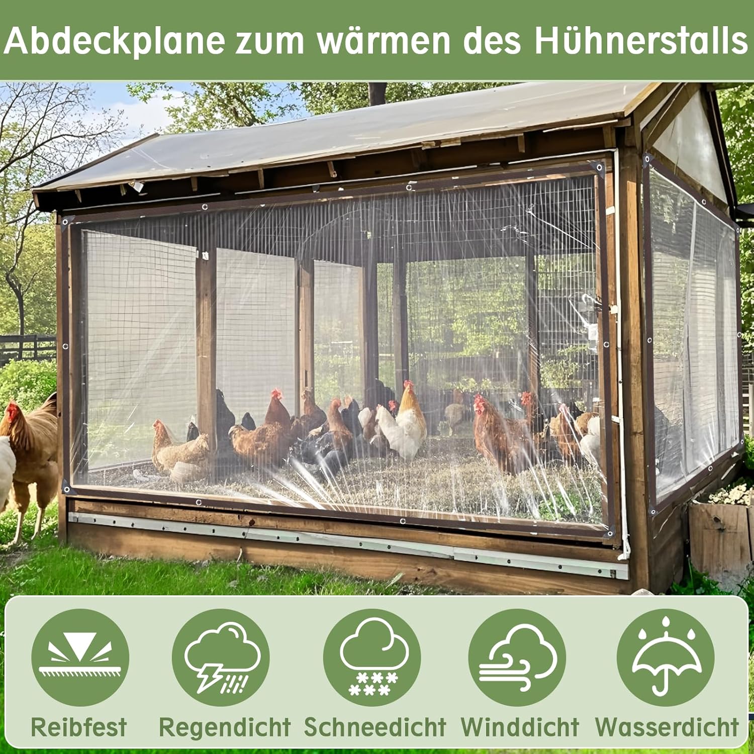 Bcbig Telone Trasparente Occhiellato 3 x 6 m - immagine 2