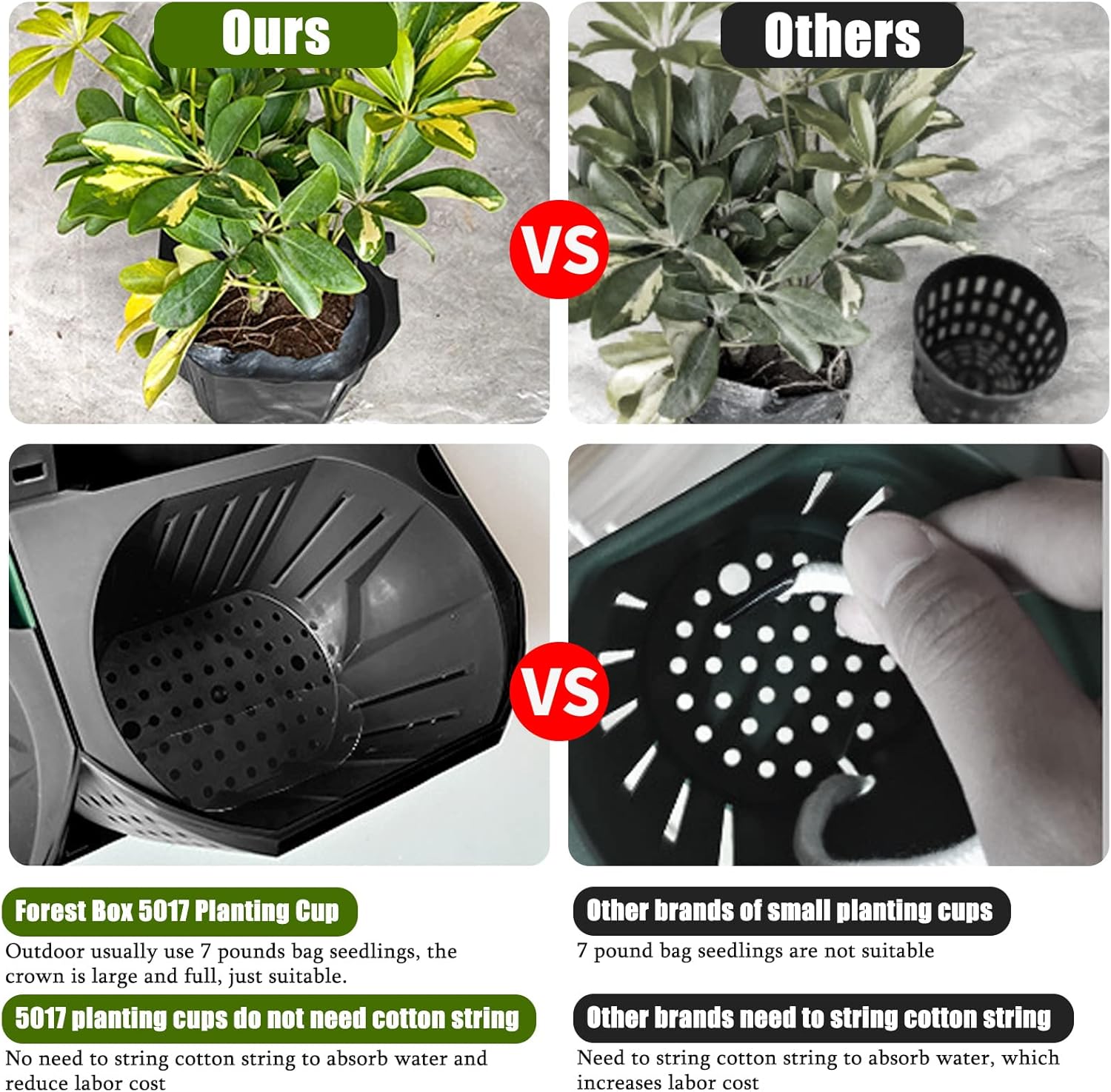 CEIEVER Pianta da Parete Verticale con 36 Tasche - immagine 4