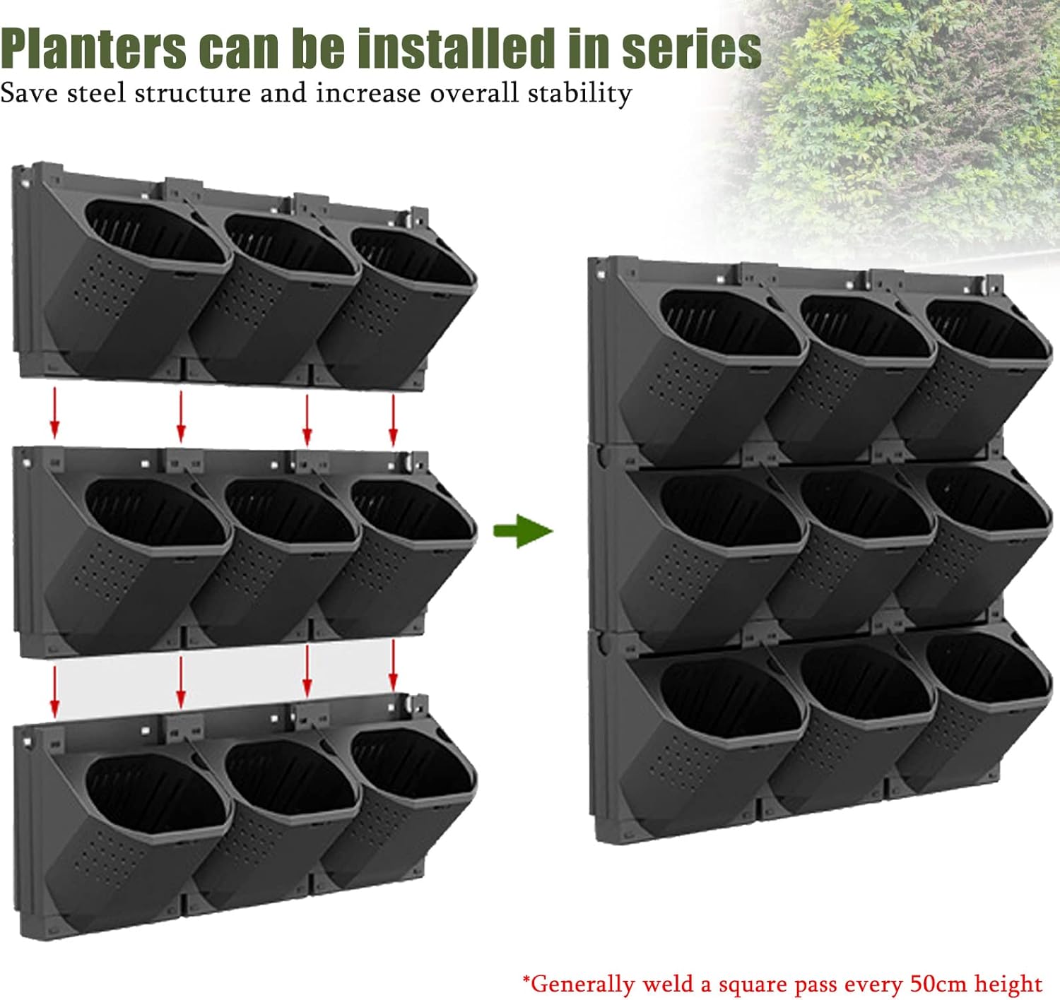 CEIEVER Pianta da Parete Verticale con 36 Tasche - immagine 5