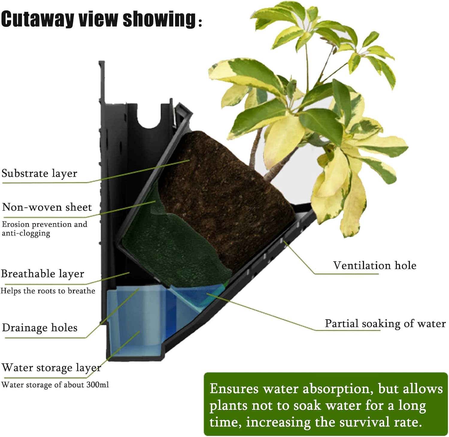 CEIEVER Pianta da Parete Verticale con 36 Tasche - immagine 6