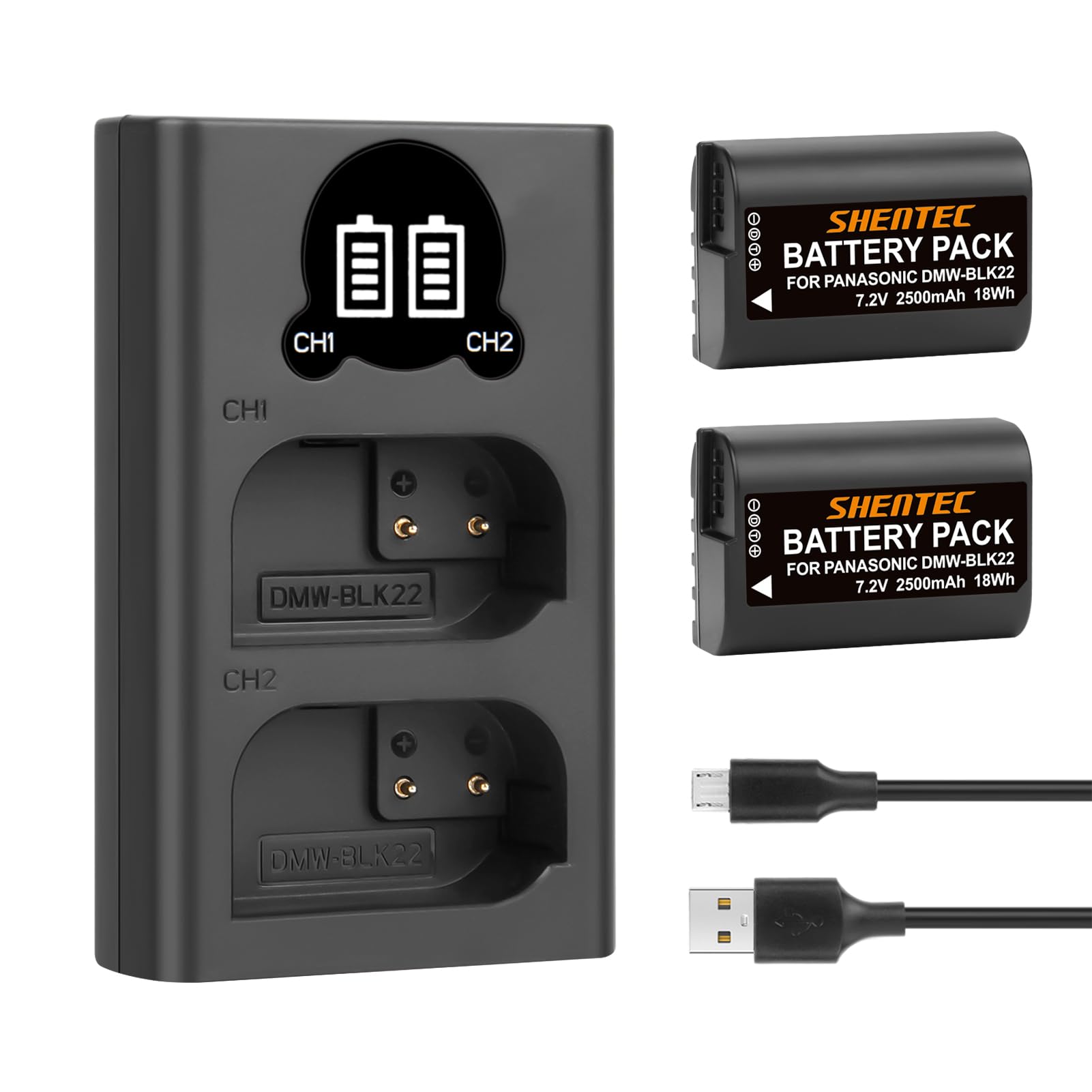 Shentec 2X DMW-BLK22 Batterie e Caricabatterie