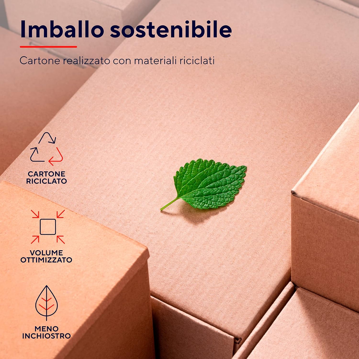 Trust Taro Set Tastiera e Mouse Cablati USB, Nero - immagine 6