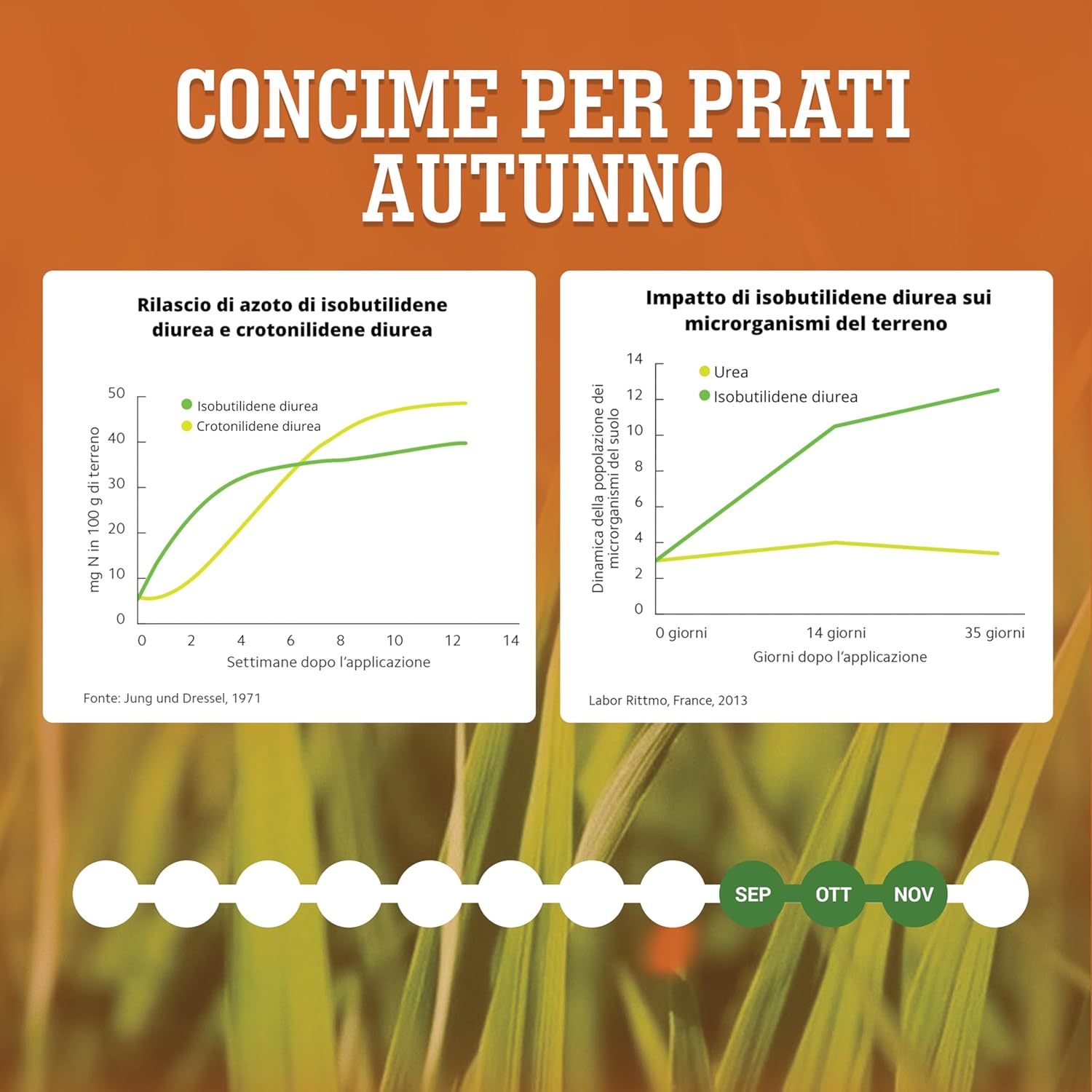Lerava AUTUNNO Concime Prato Rinverdente 70m² - immagine 6
