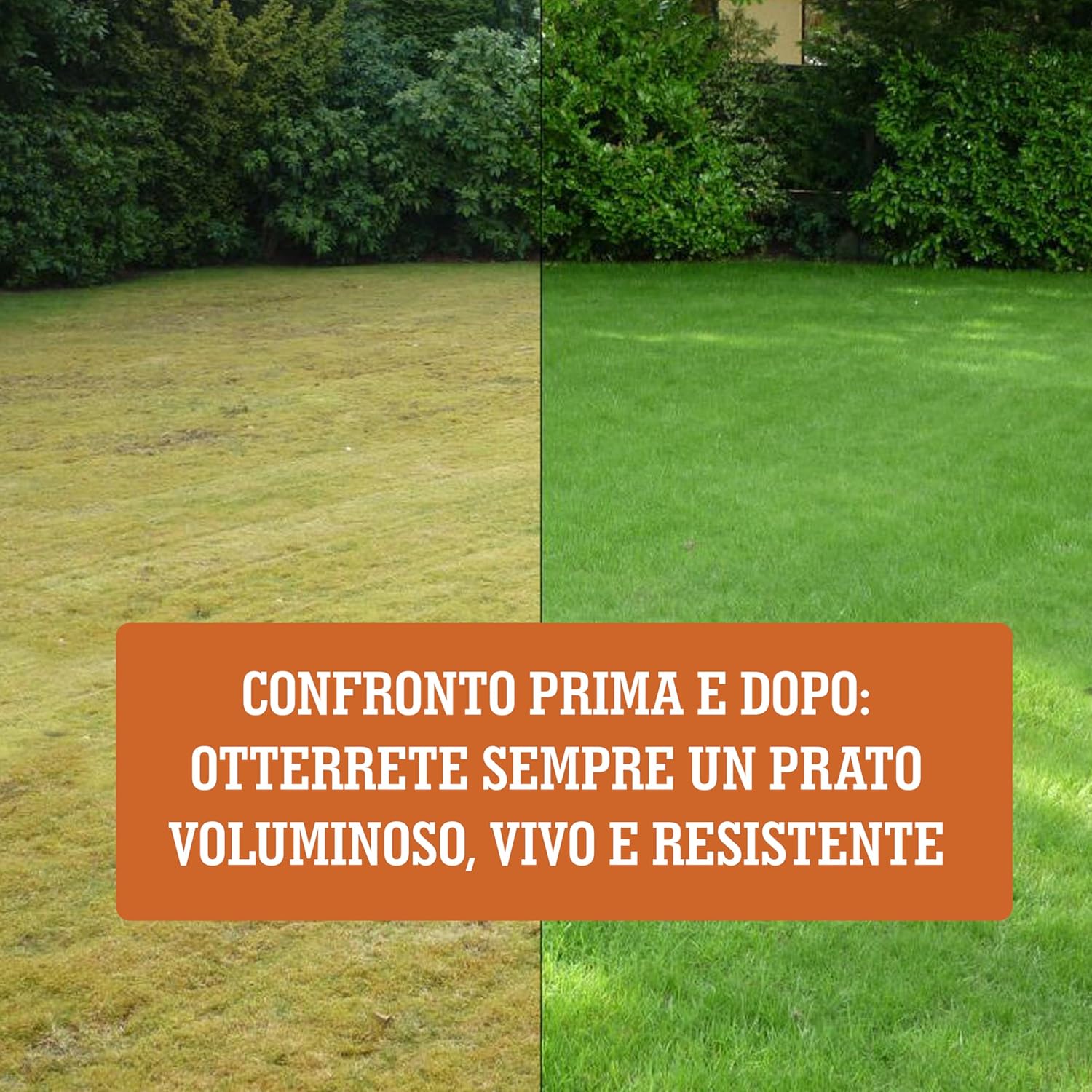 Lerava AUTUNNO Concime Prato Rinverdente 70m² - immagine 7