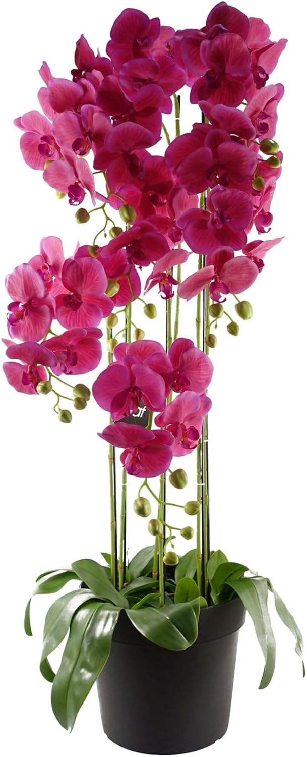 Botanik Piante di orchidee artificiali realistiche, completamente in vaso