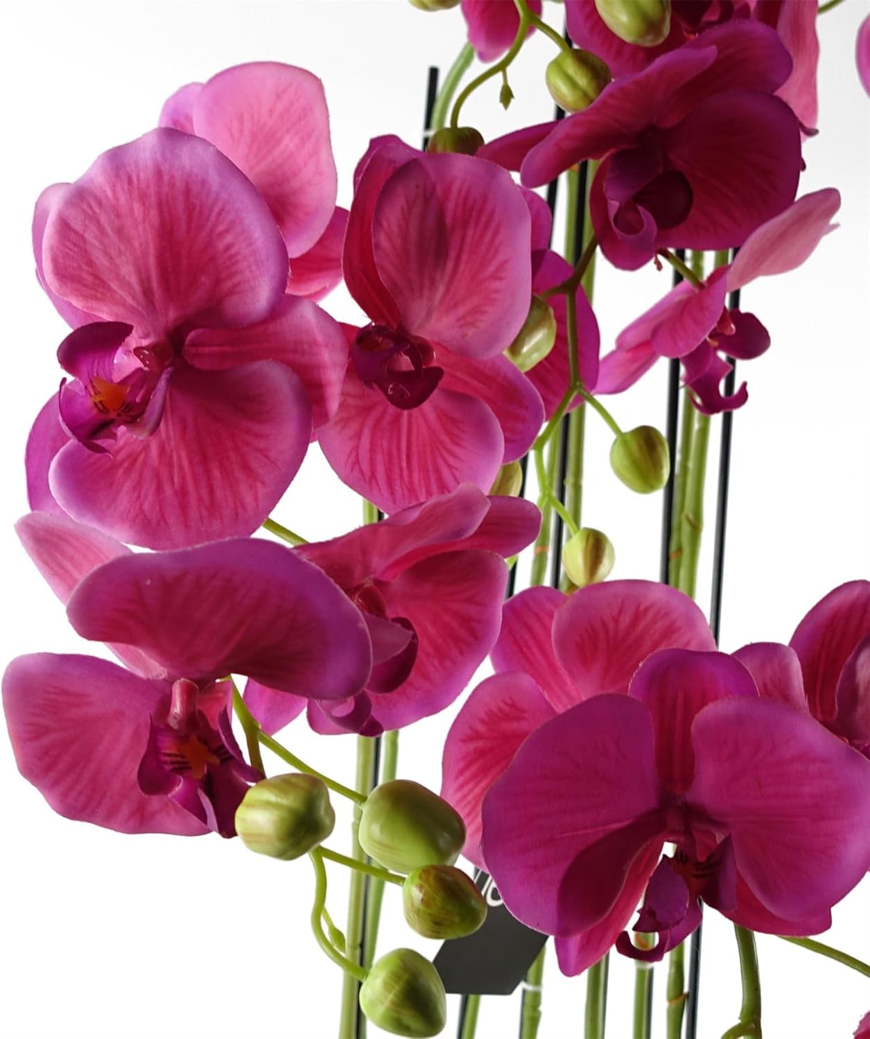 Botanik Piante di orchidee artificiali realistiche, completamente in vaso - immagine 3