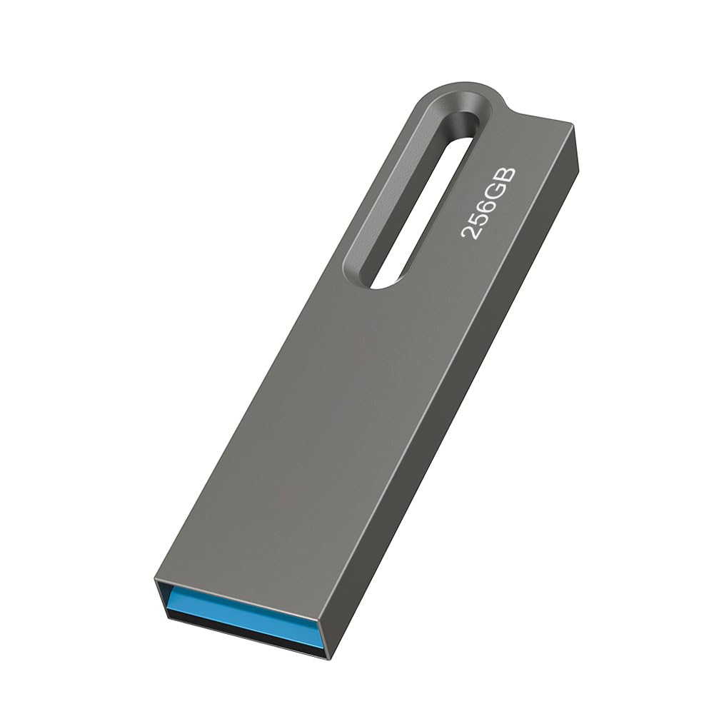 Chiavetta USB 256GB 3.0 ad Alta Velocità