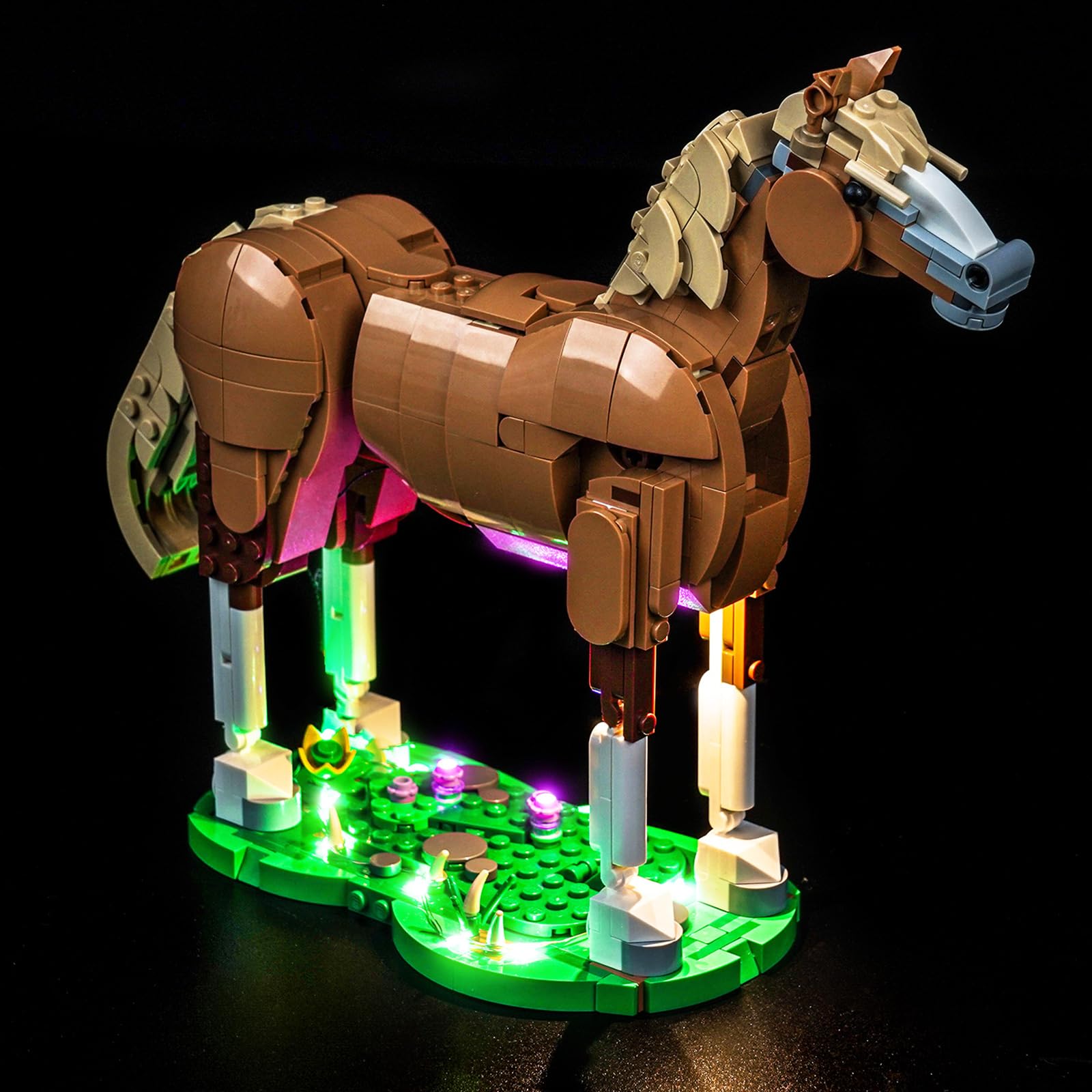 31166 Beautiful Horse