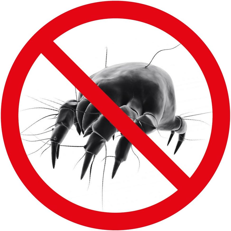 Allergosystem Copripiumone Antiacaro Sogno Matrimoniale - immagine 3