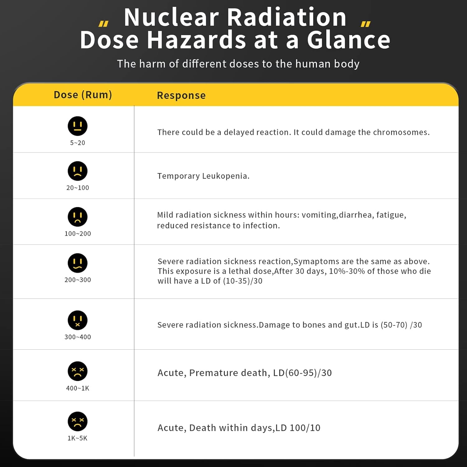 SEAFRONT Contatore Geiger Digitale Portatile - immagine 3