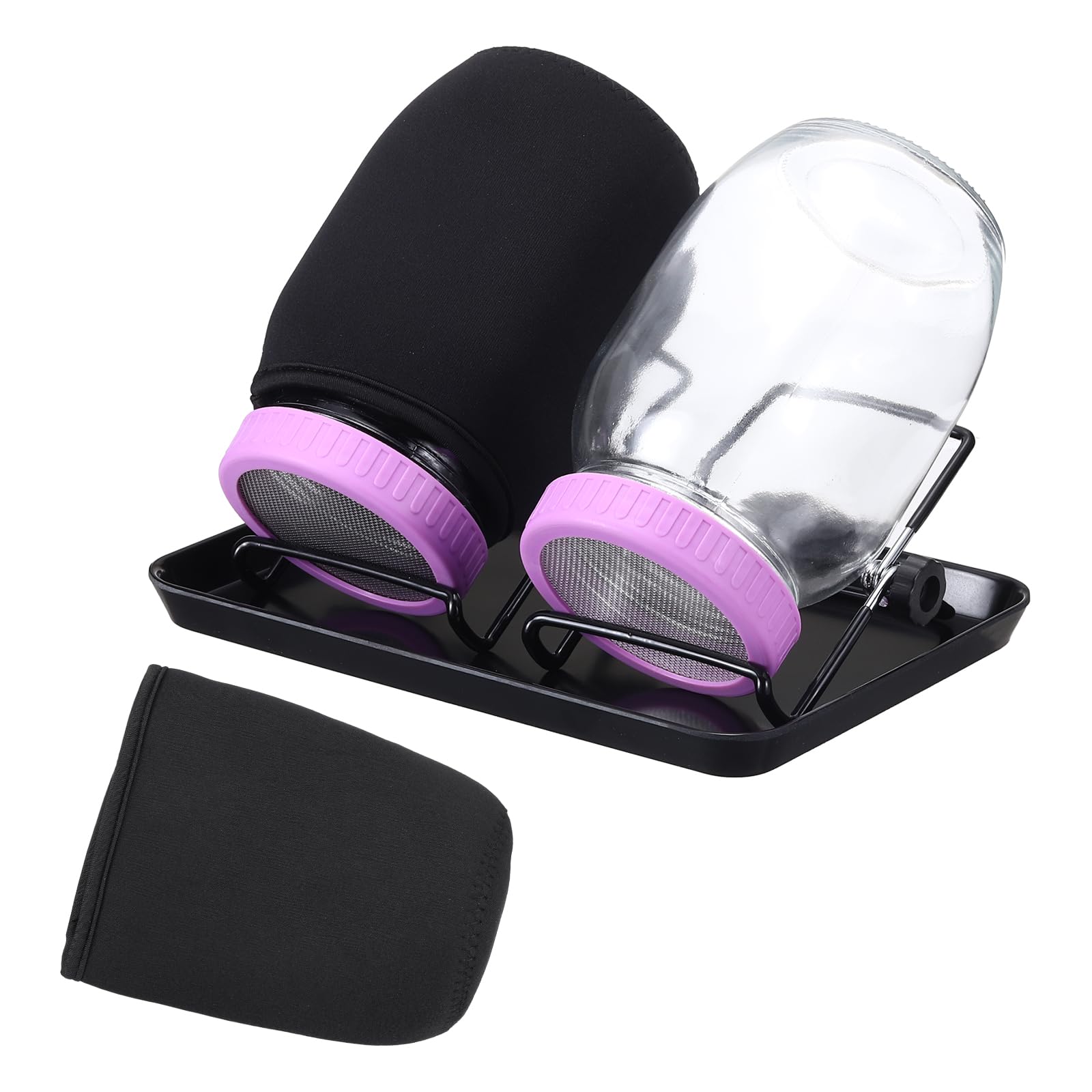 Quarkzman Barattolo Germogliatore Set di 2 con Vassoi, Viola