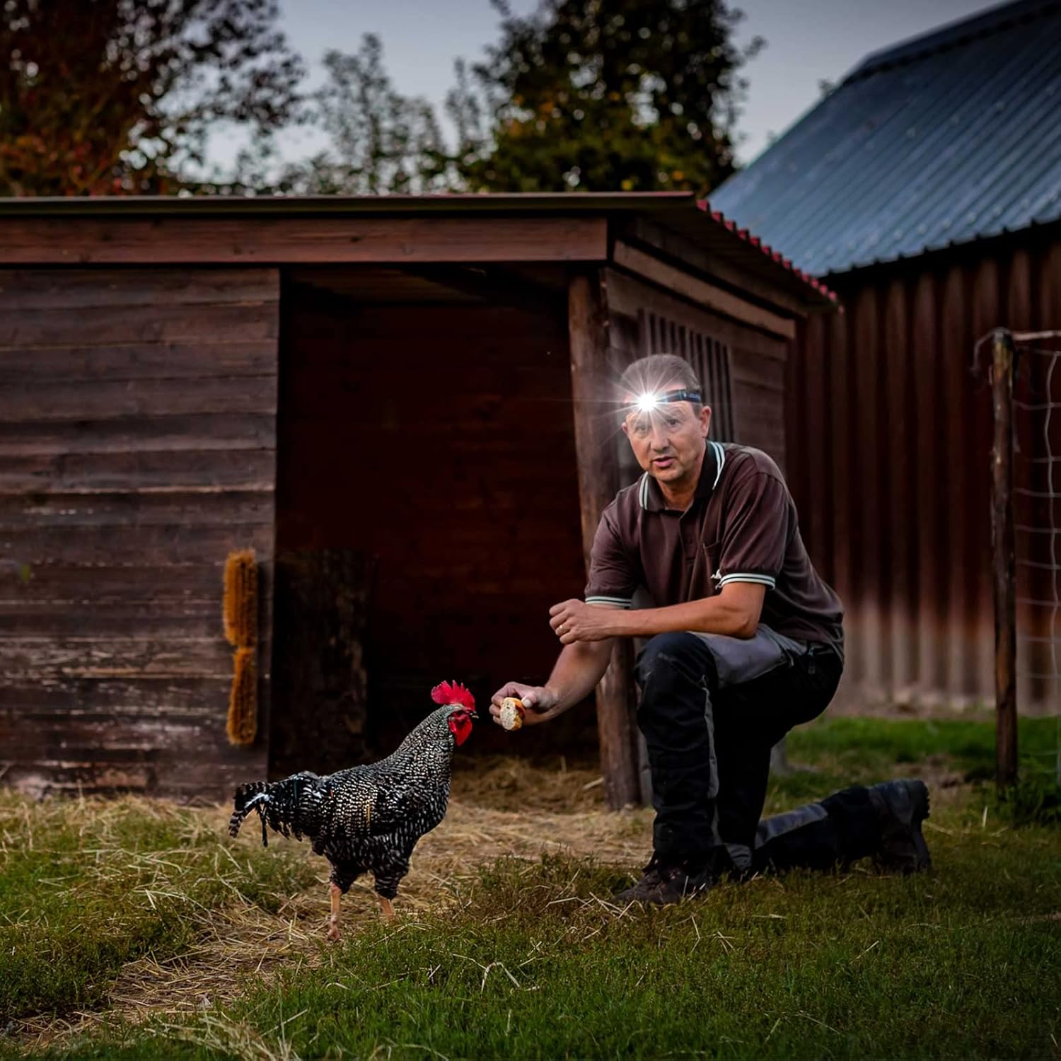 Ledlenser Mh4, Lampada Frontale per Esterni, Pesca, Caccia Unisex Adulto - immagine 5