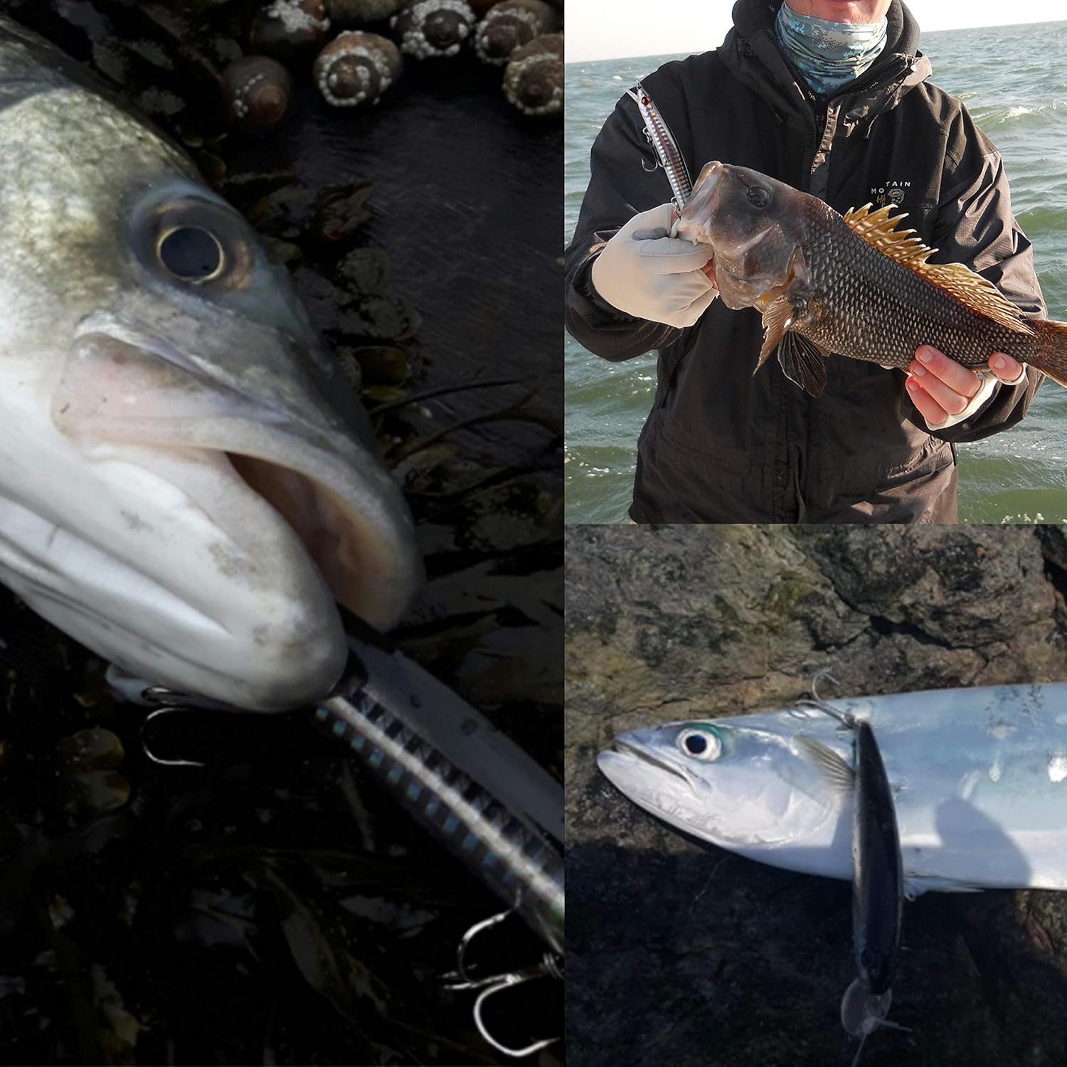 Set Esche da Pesca Minnow 5 Pezzi 18cm 24g - immagine 5