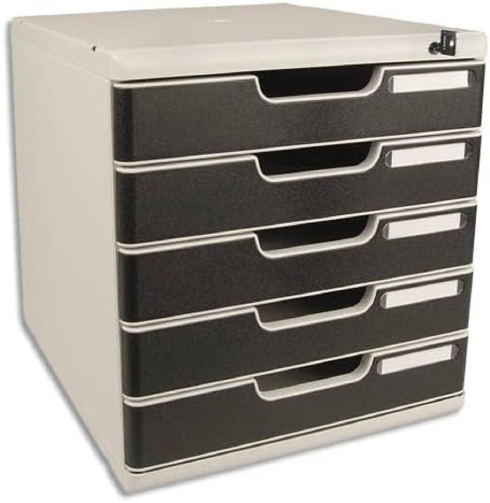 Exacompta Cassettiera 5 Cassetti A4+ con Chiave