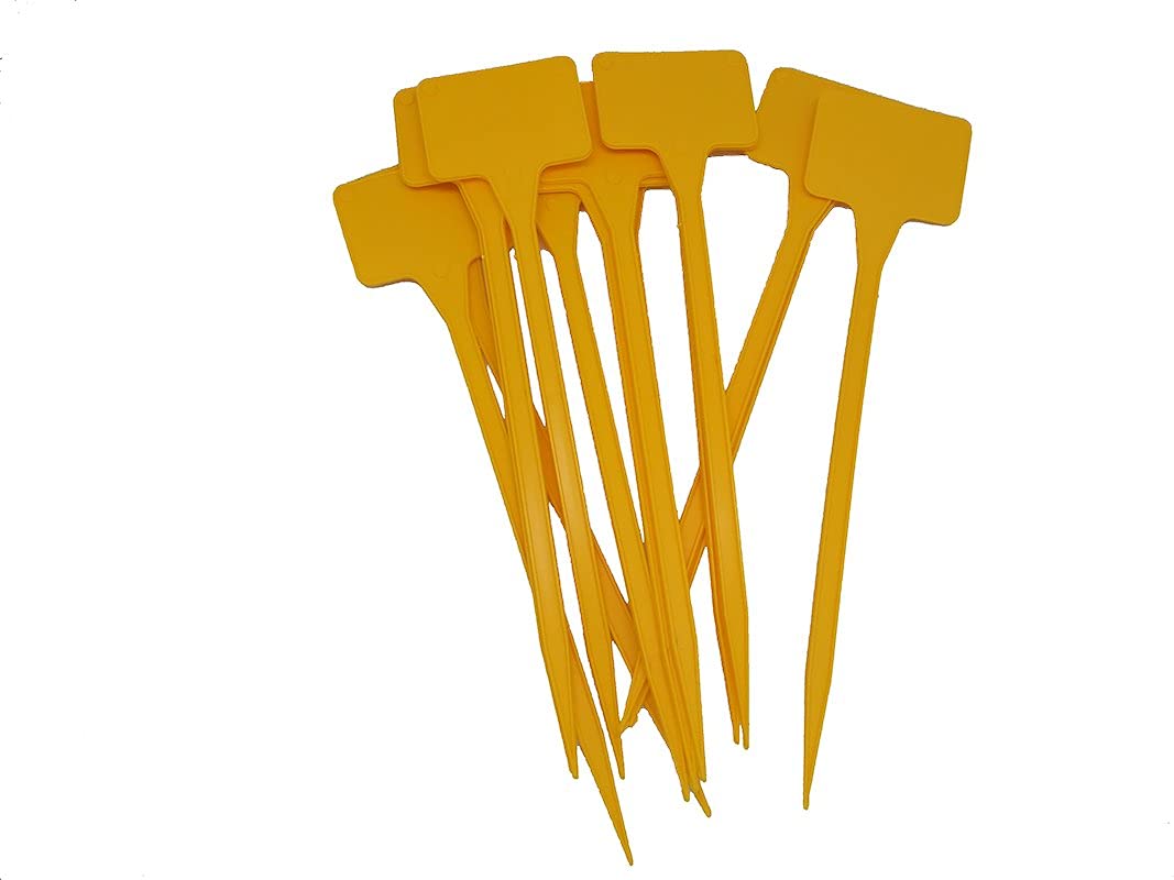 Etichette per piante con punte 30 cm, Giallo (100 pz)