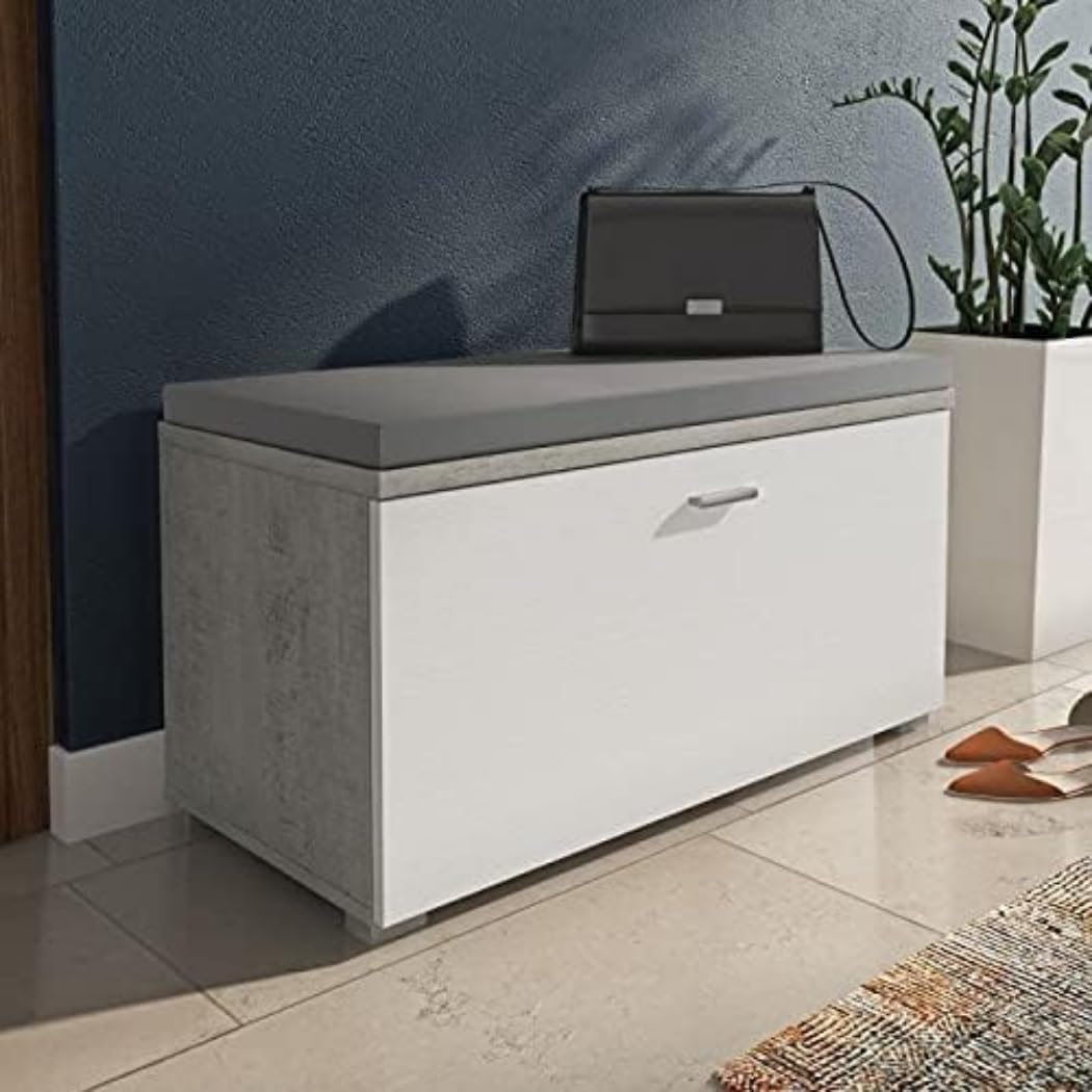 Dmora Scarpiera Moderna con Panca e Cuscino, Bianco