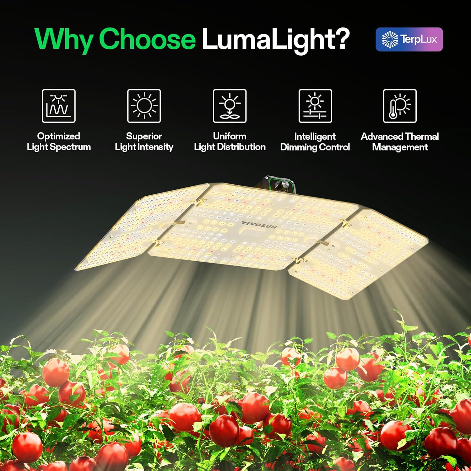 Vivosun LumaLight Lampada LED per Coltivazione 200W - immagine 2