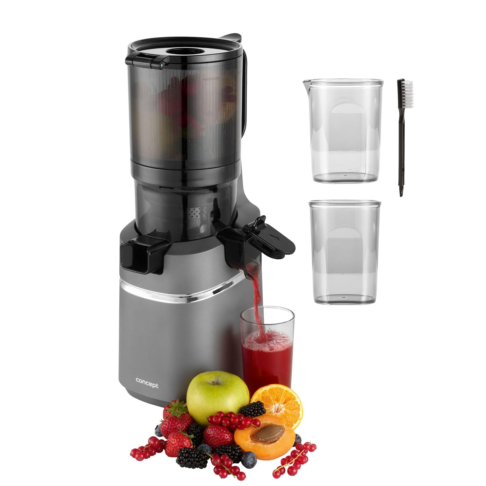 Concept LO7120 - Estrattore di succo, 250 W, colore: Grigio scuro
