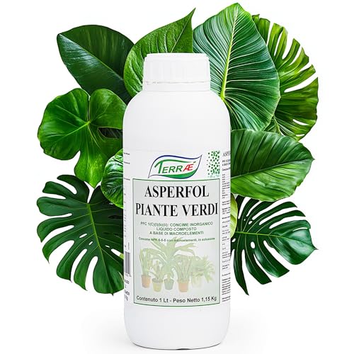 Terraé Concime Liquido Piante Verdi 1L