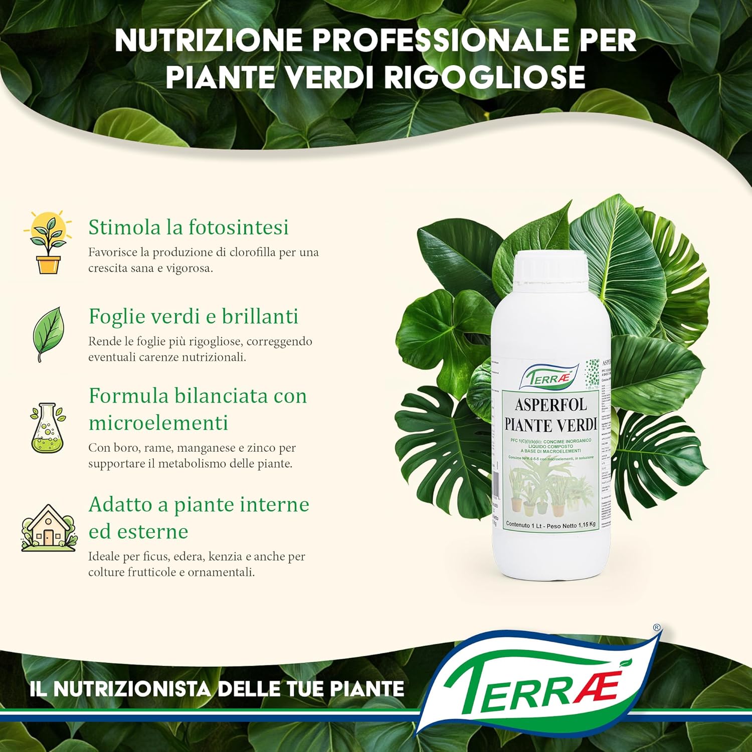 Terraé Concime Liquido Piante Verdi 1L - immagine 2