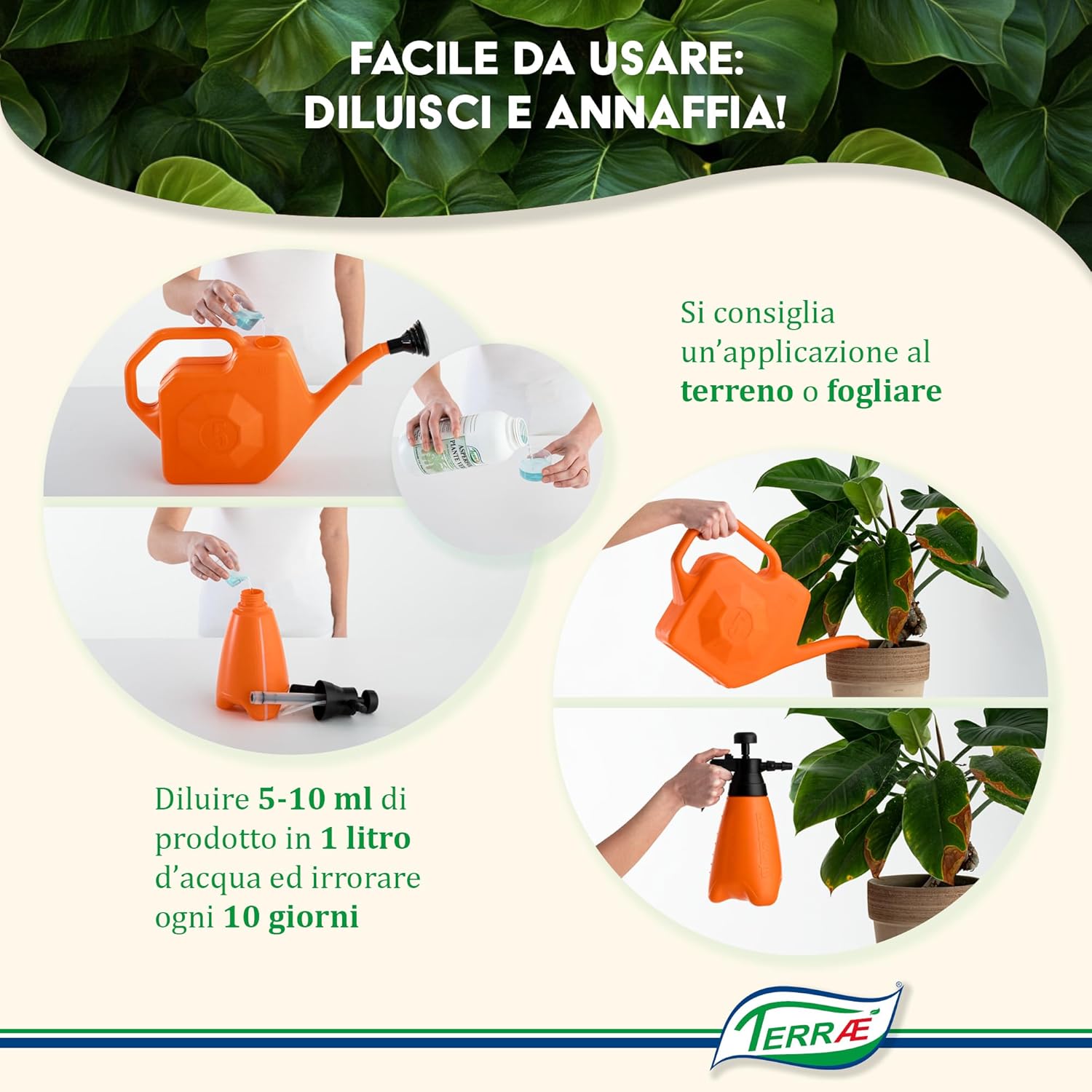 Terraé Concime Liquido Piante Verdi 1L - immagine 5