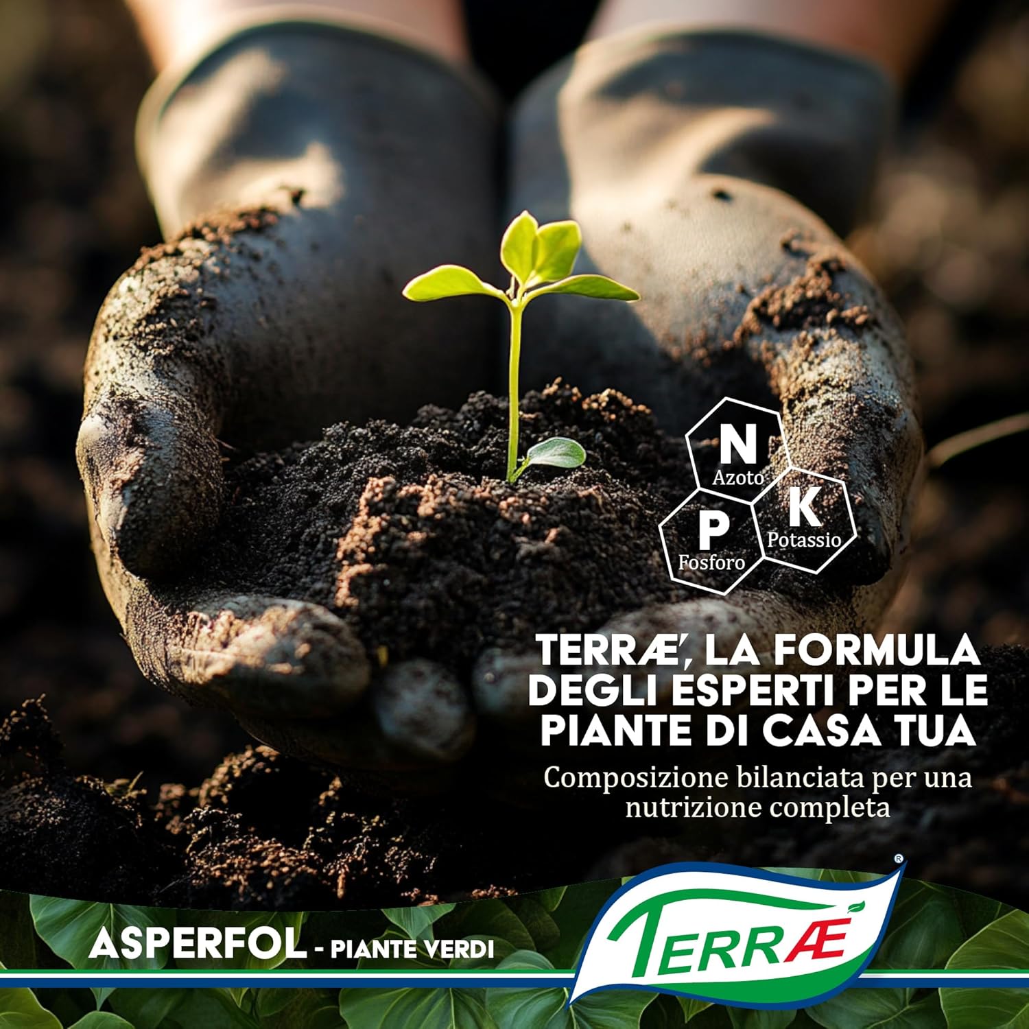 Terraé Concime Liquido Piante Verdi 1L - immagine 6