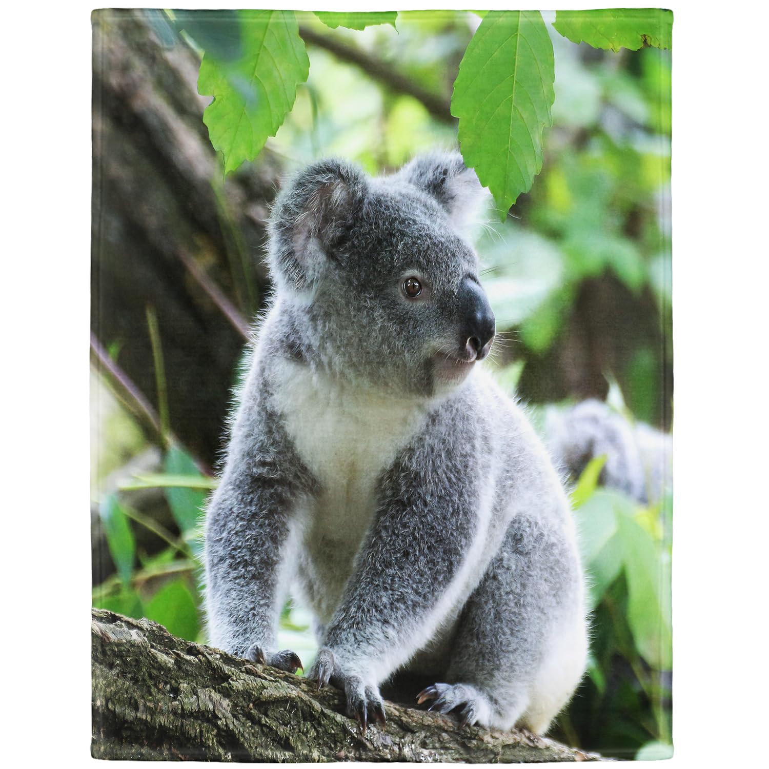 Coperta 150 x 200 cm, morbida flanella