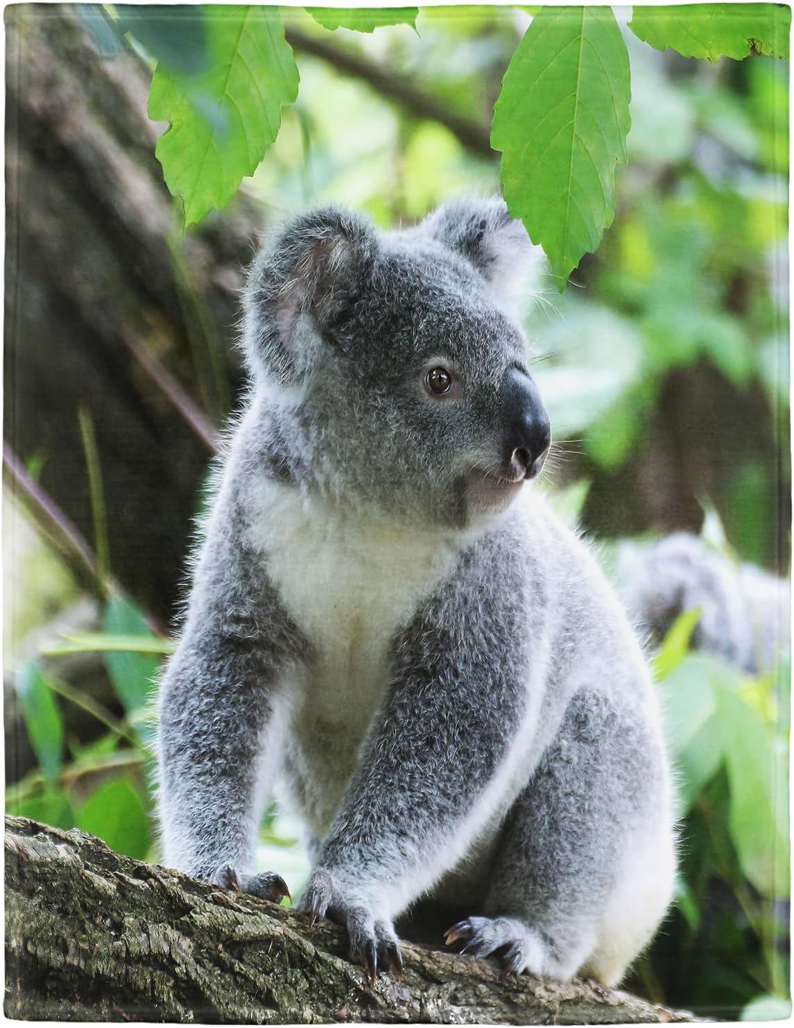 Coperta 150 x 200 cm, morbida flanella - immagine 1