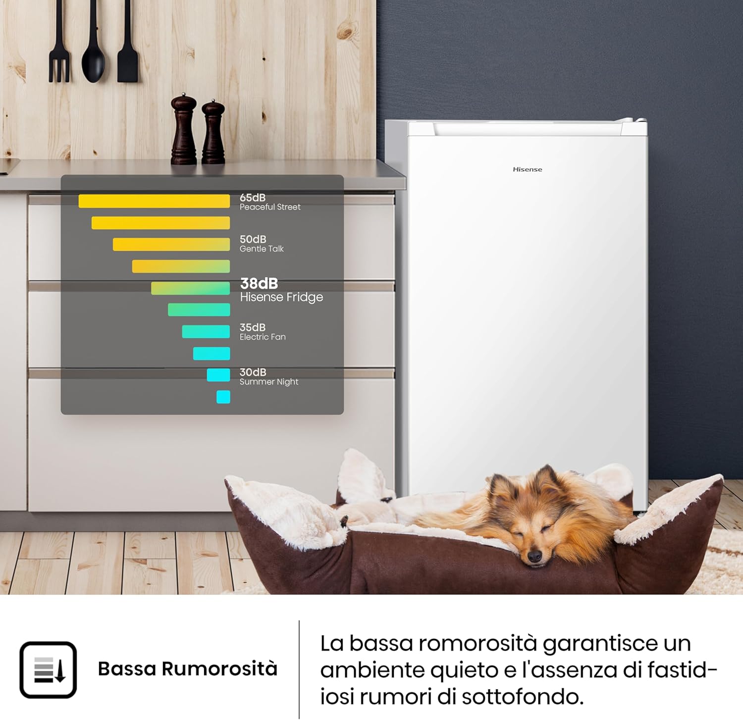 Hisense MUZ4859E, Congelatore Verticale, Bianco, 61L - immagine 10