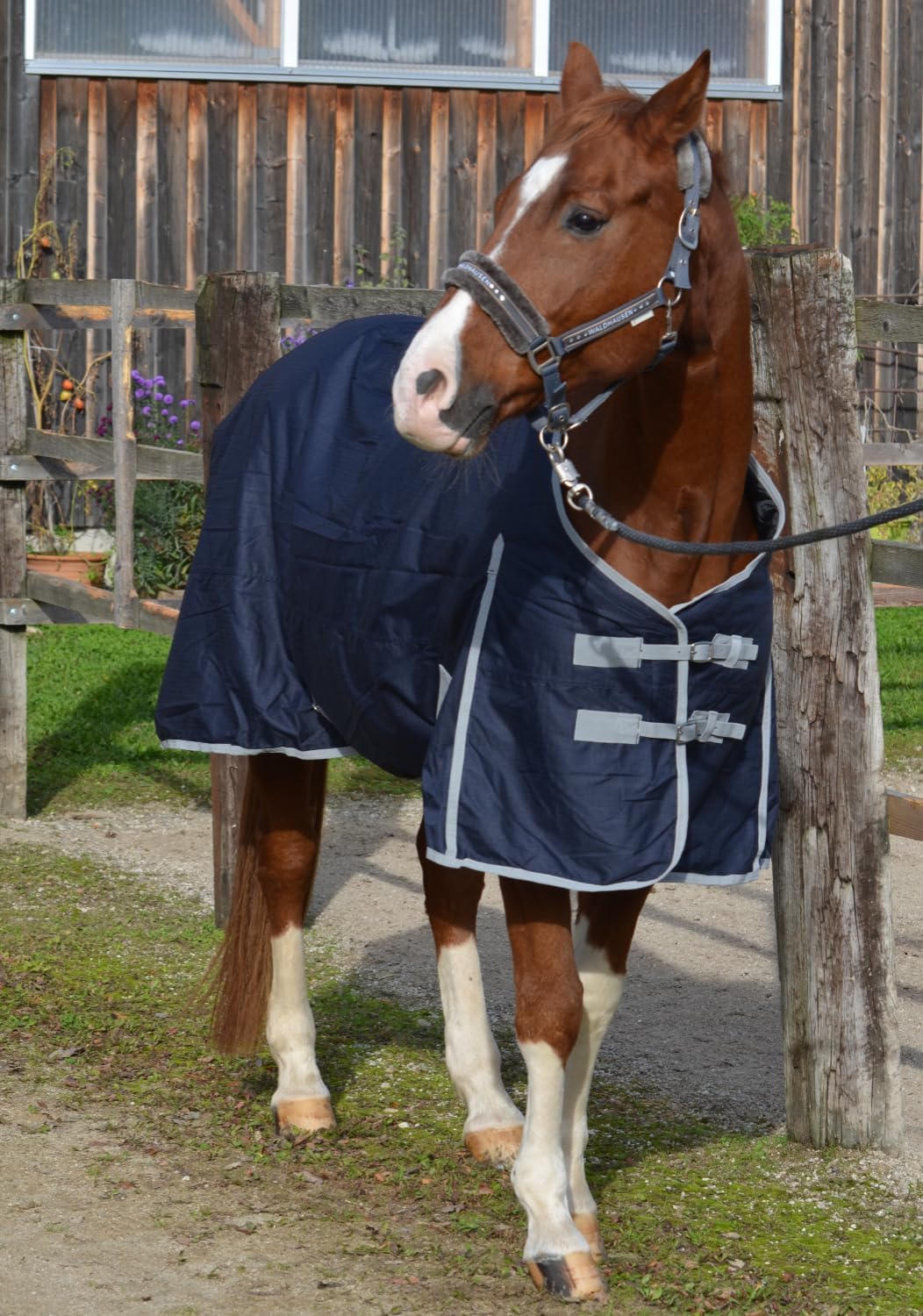 AMKA Coperta per Esterni in Vimini con Cavalli 600 D - immagine 4