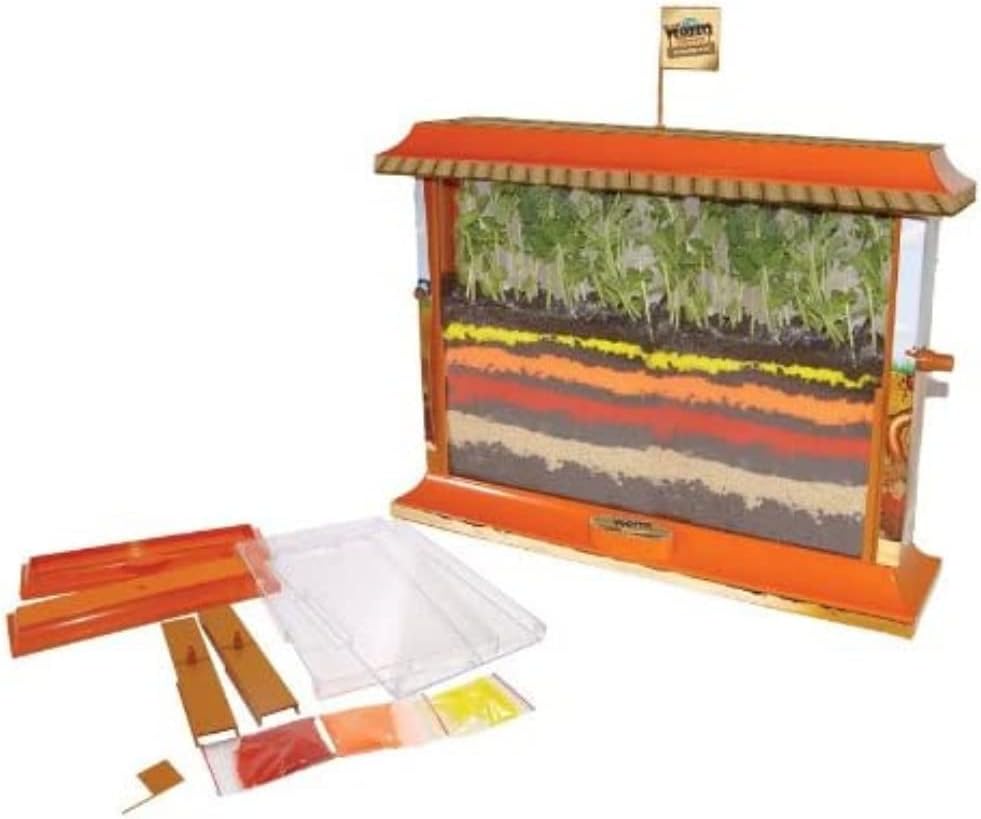 Bsm - Set 2 Giochi Scientifici: Regno Formiche + Città Vermi - immagine 3