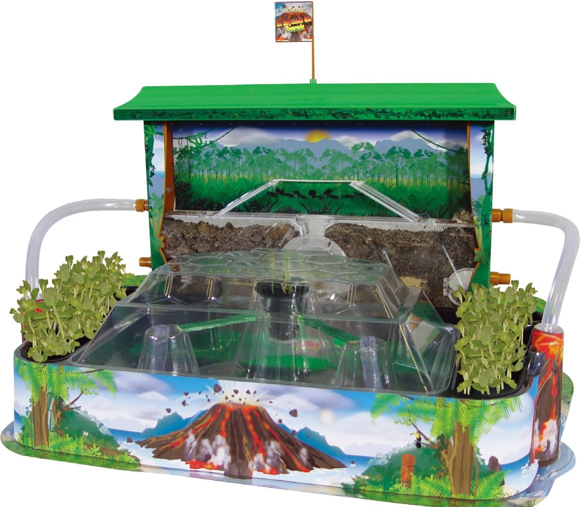 Bsm - Set 2 Giochi Scientifici: Regno Formiche + Città Vermi - immagine 5