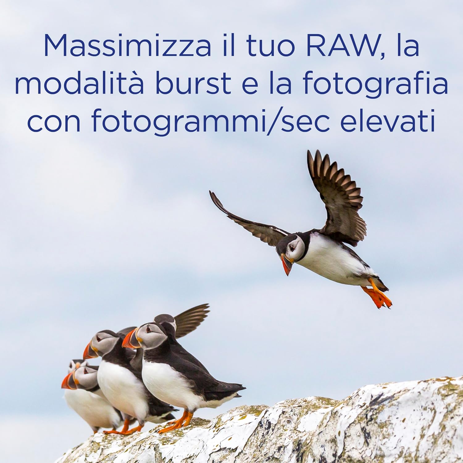 Integral CFast 2.0 Ultimapro - Scheda di Memoria 256 GB - immagine 4