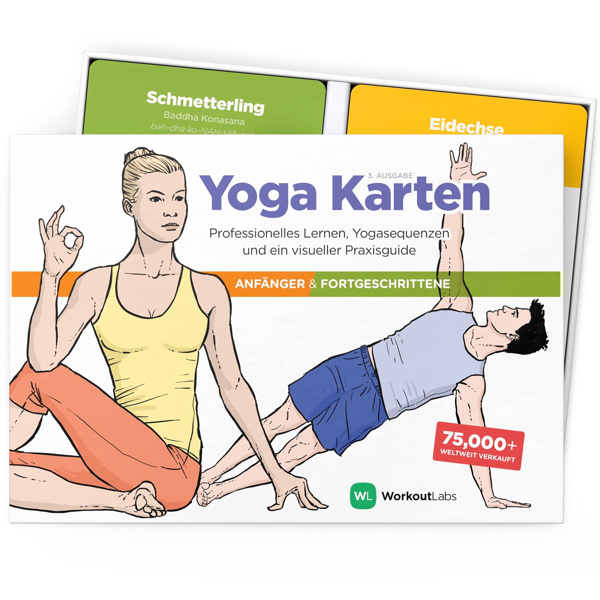 WorkoutLabs Mappe per yoga in plastica con linguaggio sancritico per apprendimento visivo, sedentarietà, esercizi di respirazione e meditazione (gioco completo)
